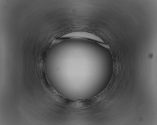 X0000091990276200710041136