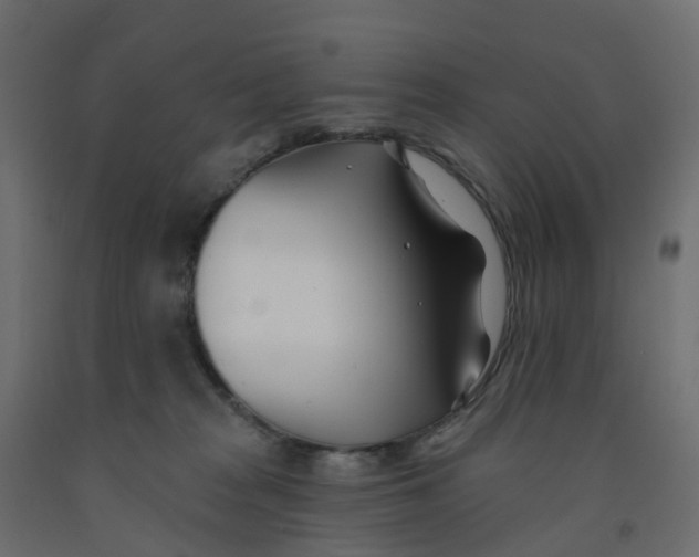 X0000091990277200710041136