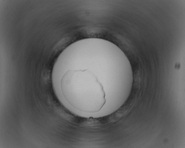 X0000091990278200710041136