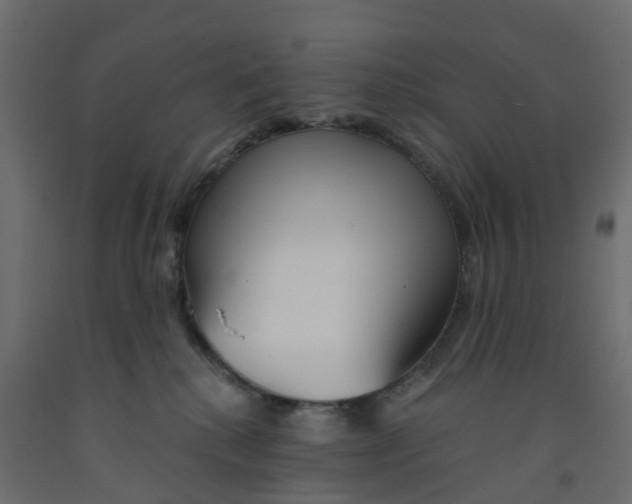 X0000091990280200710041136