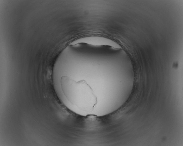 X0000091990281200710041136