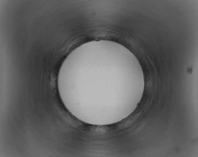X0000091990282200710041136