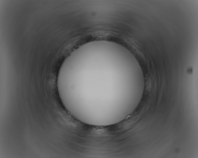 X0000091990283200710041136