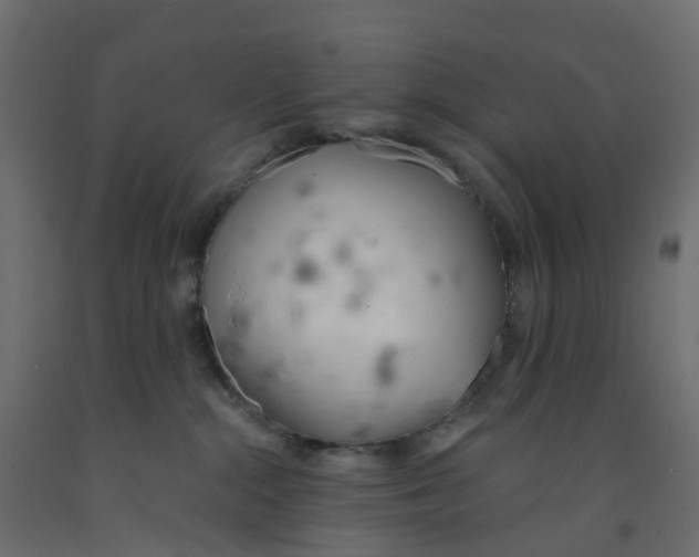 X0000091990284200710041136