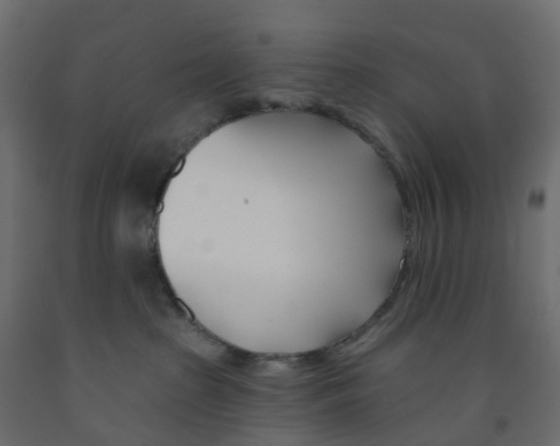 X0000091990285200710041136