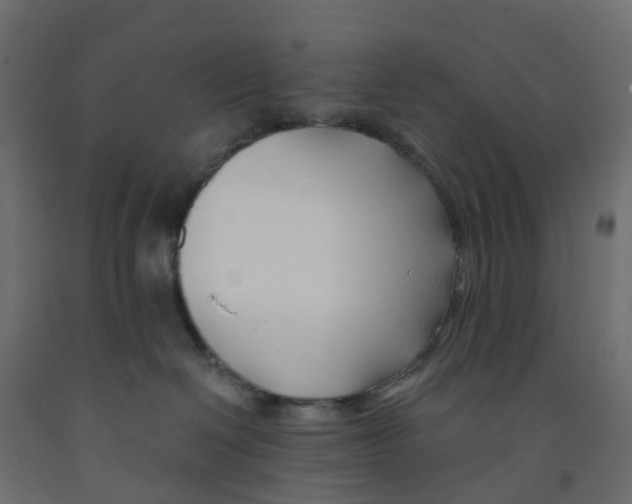 X0000091990286200710041136