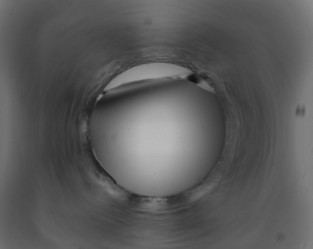 X0000091990288200710041136