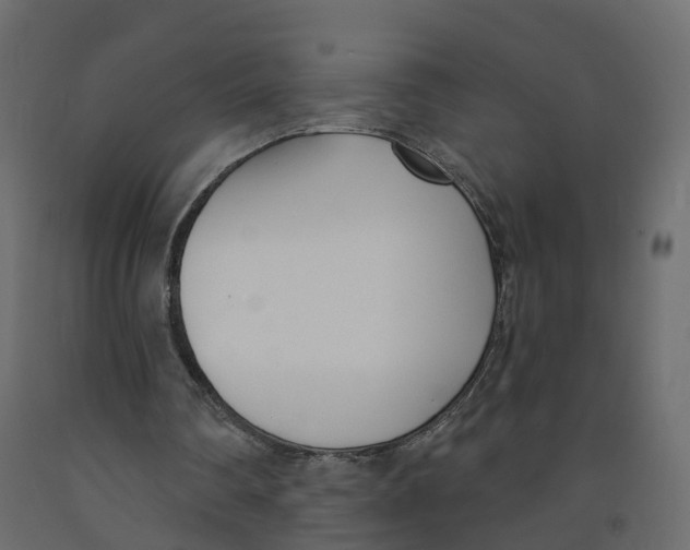 X0000091990290200710041135