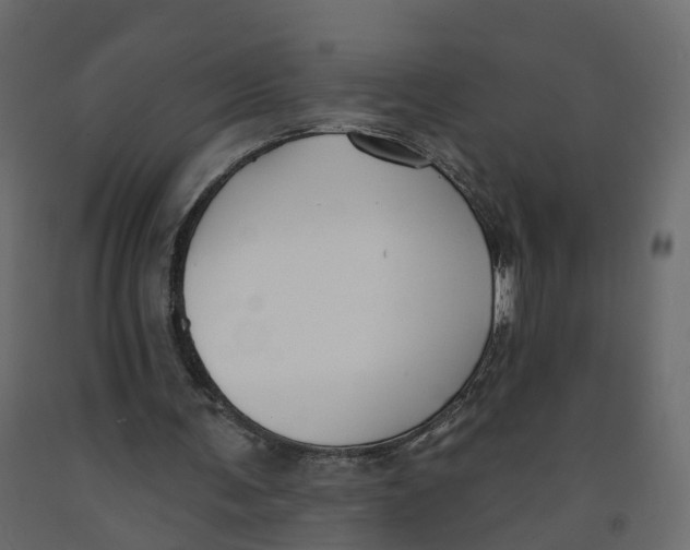 X0000091990291200710041135