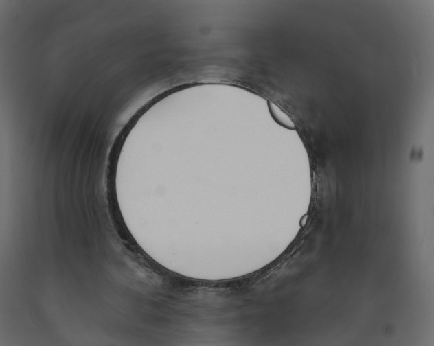 X0000091990292200710041135