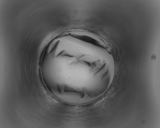 X0000091990293200710041135