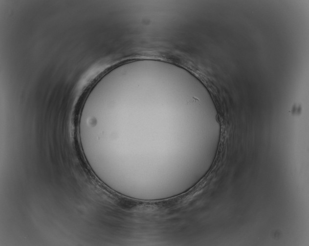 X0000091990294200710041135