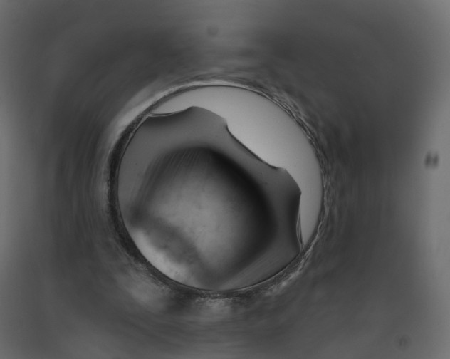 X0000091990295200710041135