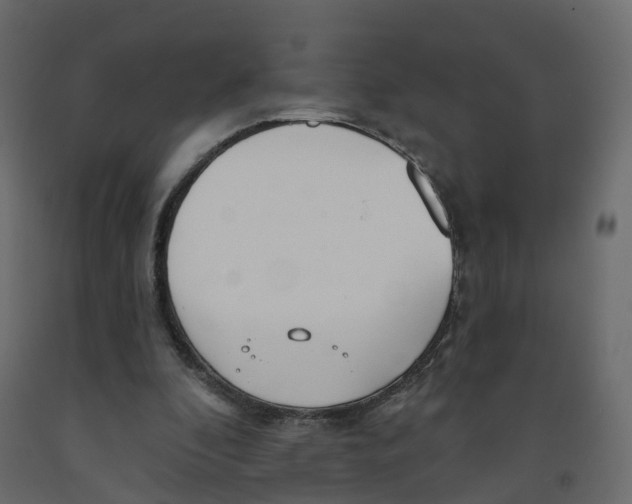 X0000091990296200710041135