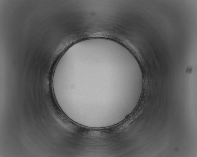 X0000091990298200710041135