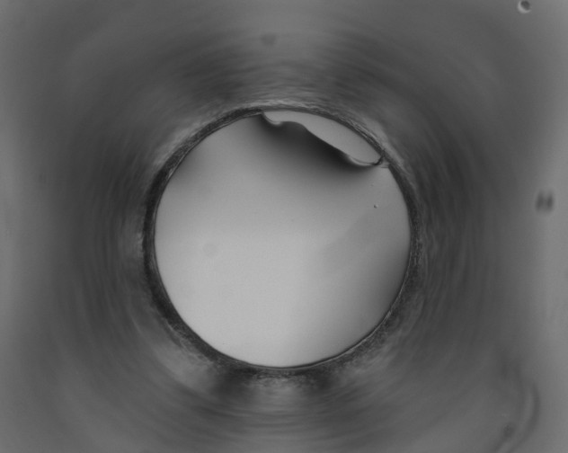 X0000091990299200710041135
