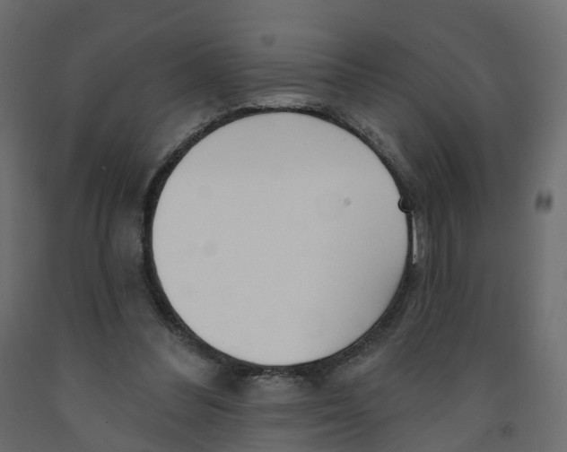 X0000091990300200710041135