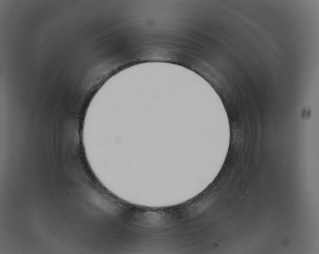 X0000091990302200710041135