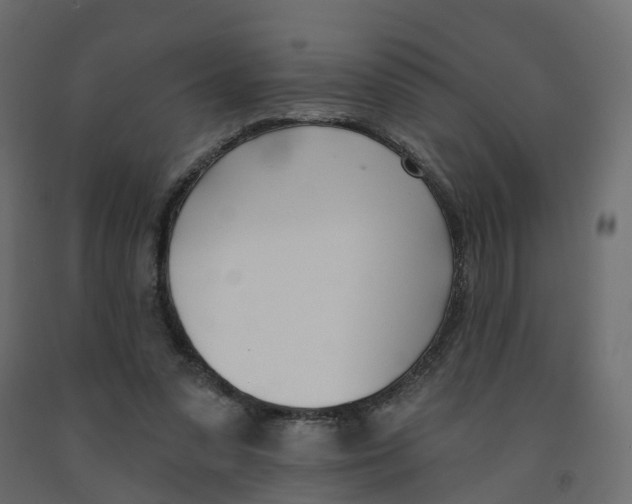 X0000091990303200710041135