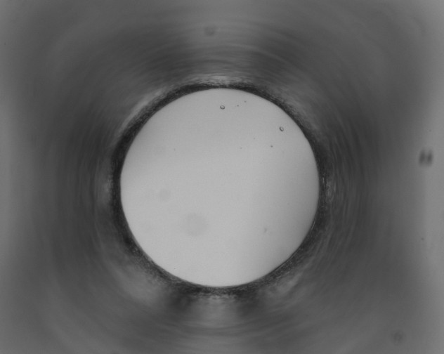 X0000091990304200710041135