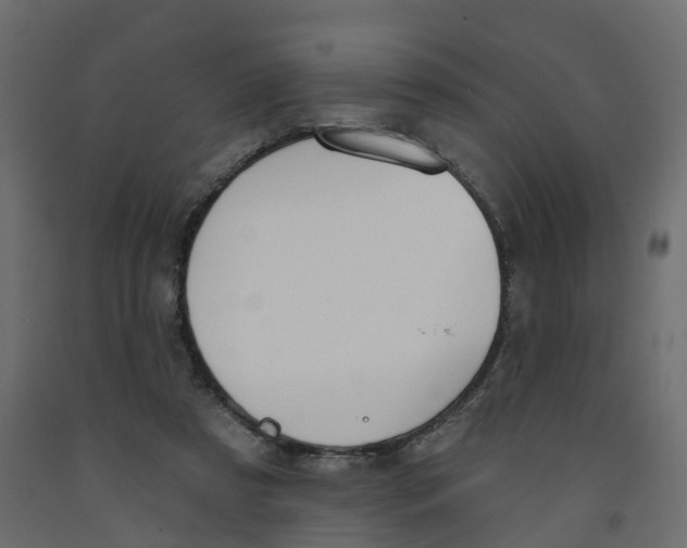 X0000091990305200710041135