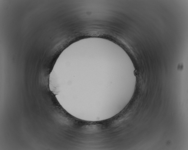 X0000091990307200710041135