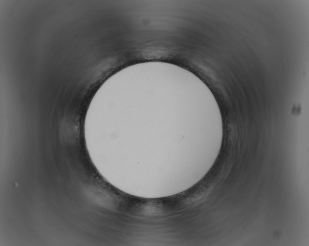 X0000091990308200710041135