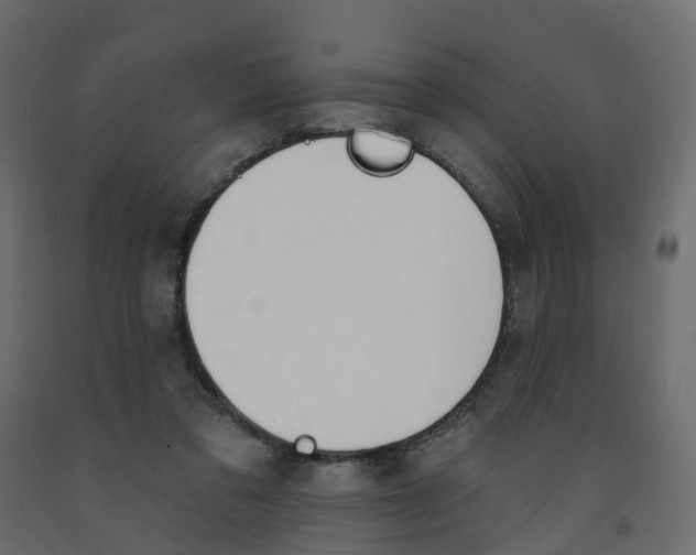 X0000091990309200710041135
