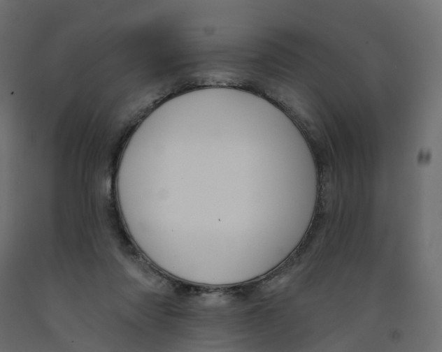 X0000091990310200710041135