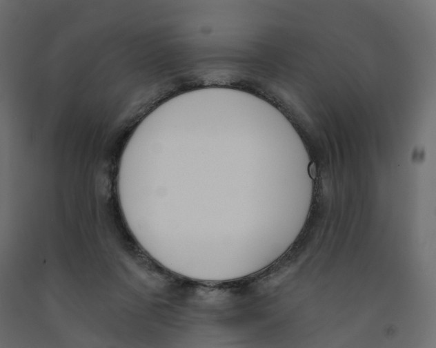 X0000091990311200710041135