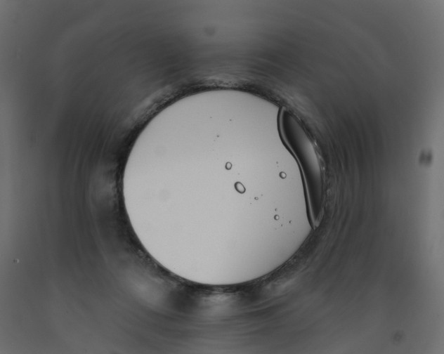 X0000091990312200710041135