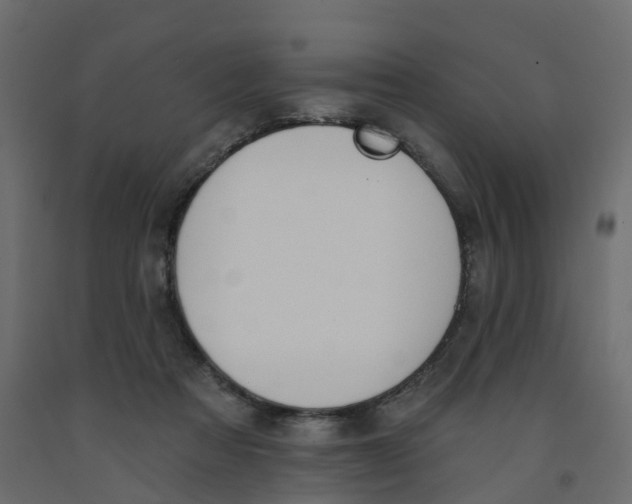 X0000091990313200710041135