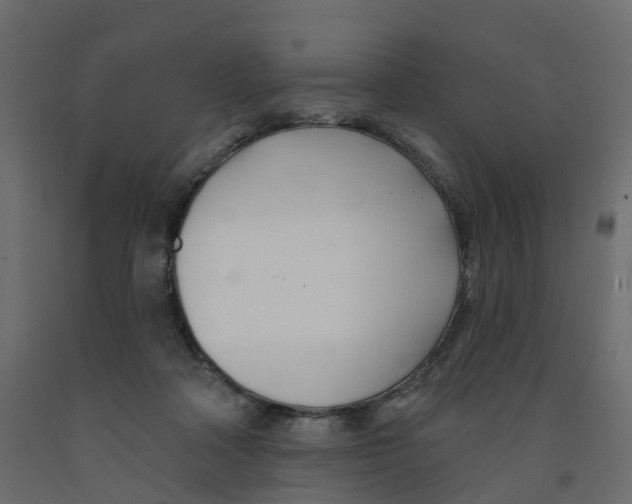 X0000091990314200710041135