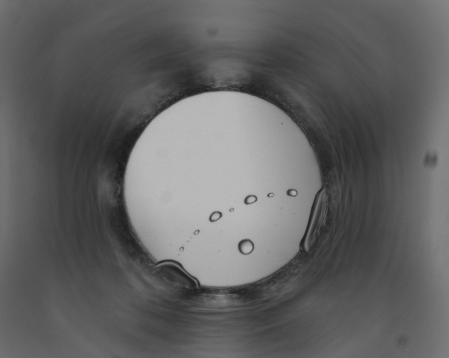 X0000091990316200710041135