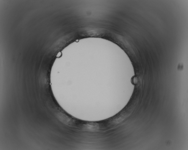 X0000091990317200710041135