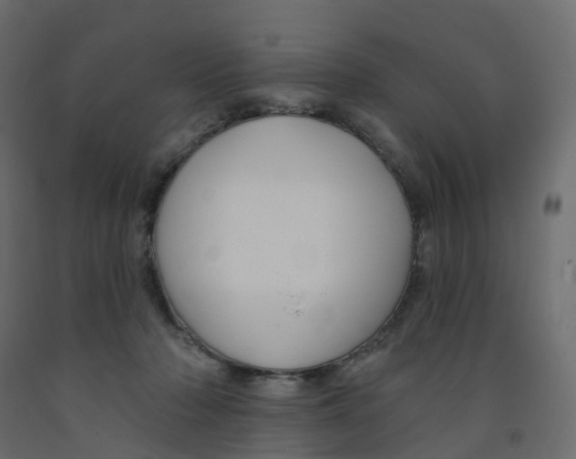 X0000091990318200710041135