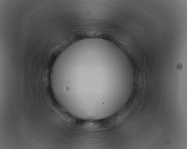 X0000091990319200710041135