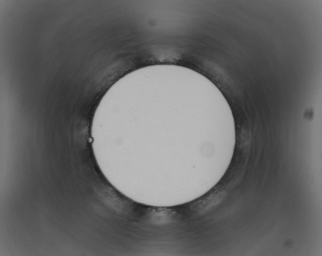 X0000091990321200710041135