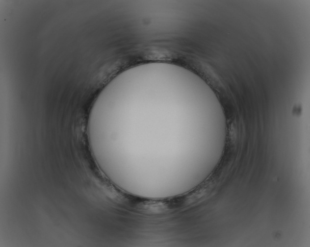 X0000091990322200710041135