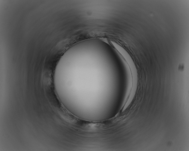 X0000091990323200710041135