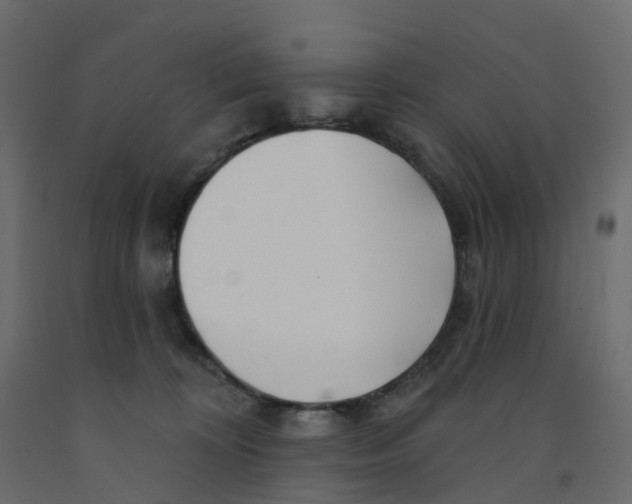 X0000091990324200710041135