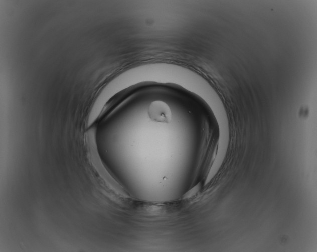 X0000091990325200710041135