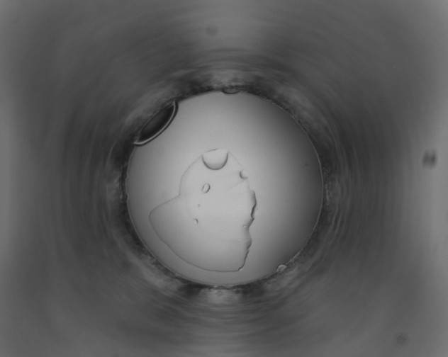 X0000091990327200710041135