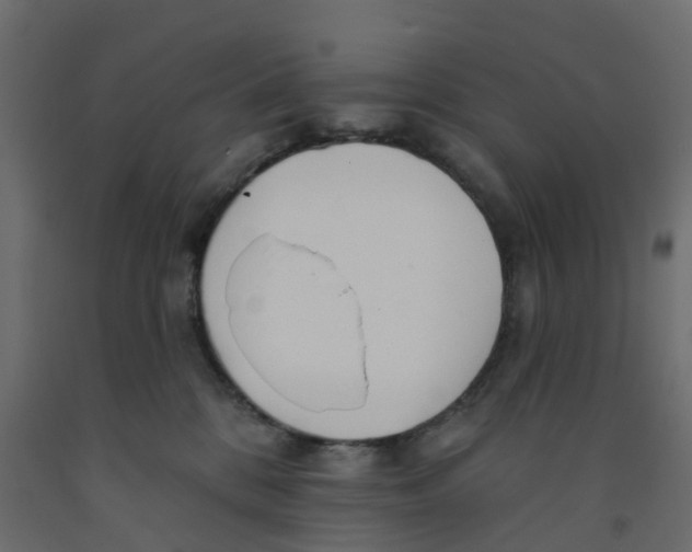 X0000091990328200710041135