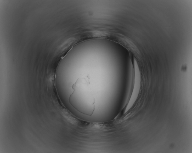 X0000091990329200710041135