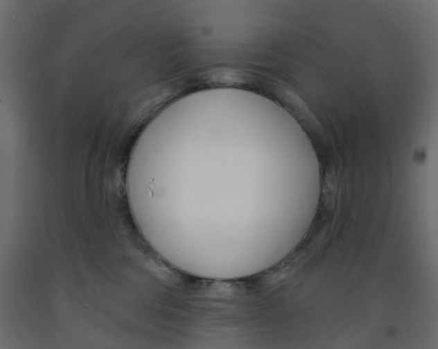 X0000091990330200710041135