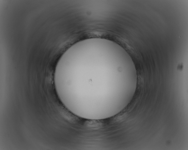 X0000091990331200710041135