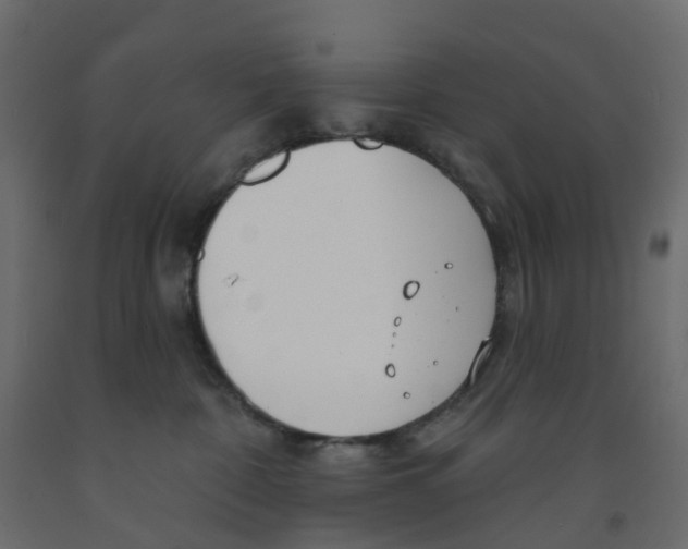X0000091990332200710041135
