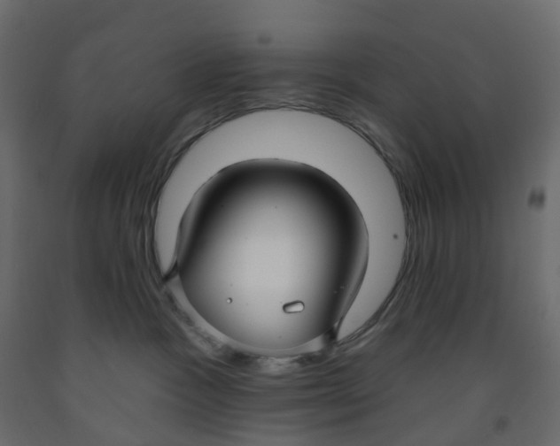 X0000091990333200710041135