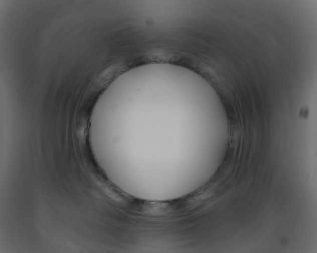 X0000091990334200710041135